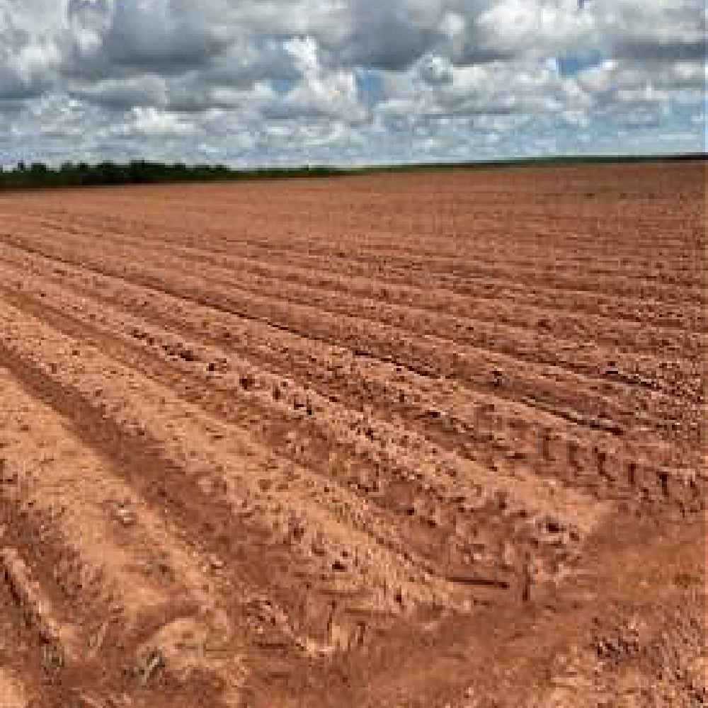 Split Nitrogen Fertilizer Application Imagery- Before