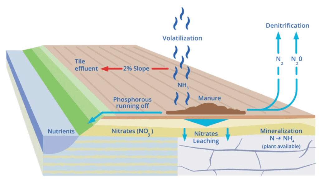 Loss pathways from the land application of manure imagery