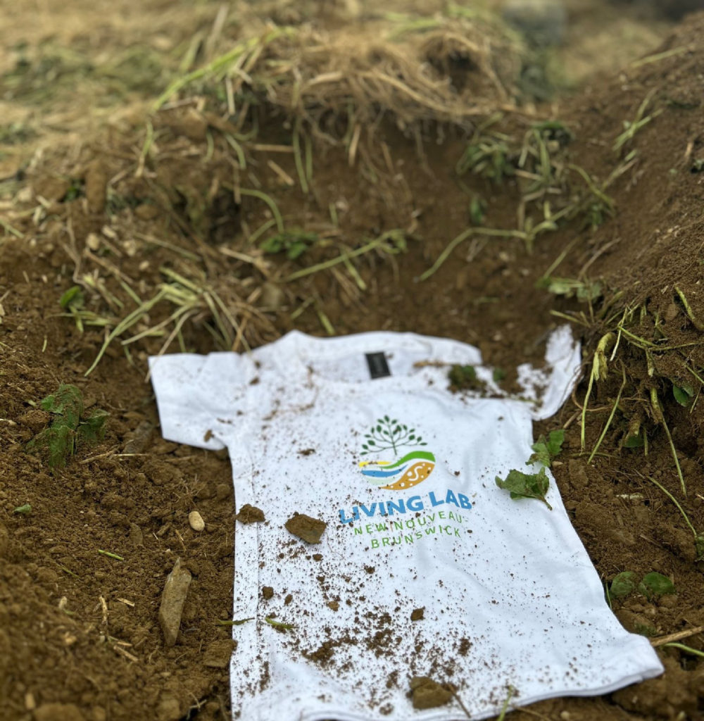 Soil Your T-Shirt 2025