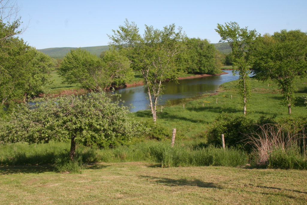 Passekeag Holdings