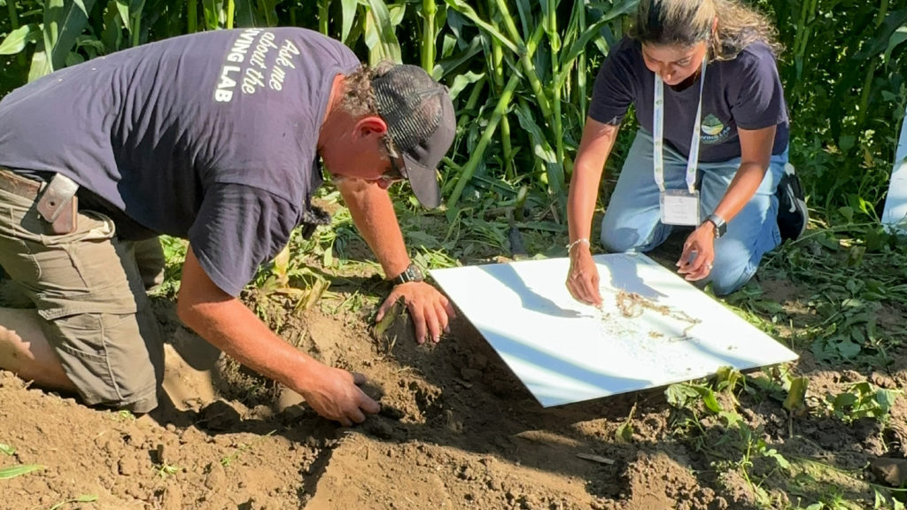 Soil Your T-Shirt - 2025