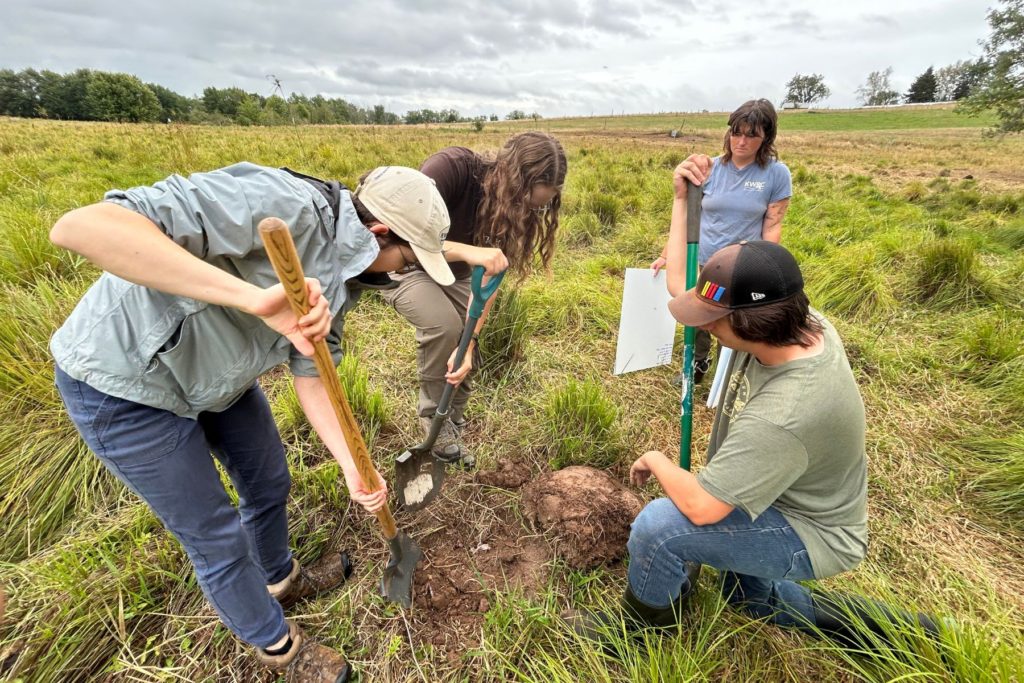 Soil Your T-Shirt - 2025