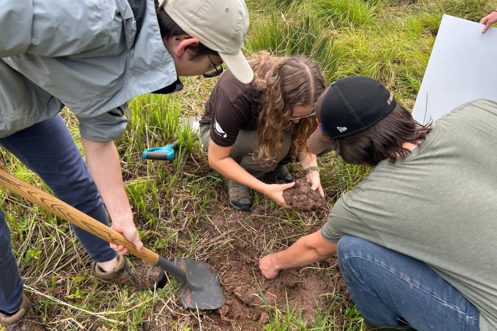 Soil Your T-Shirt - 2025
