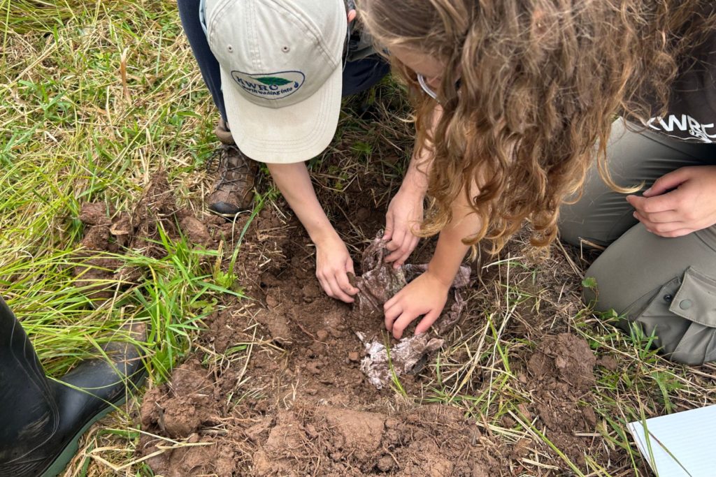 Soil Your T-Shirt - 2025