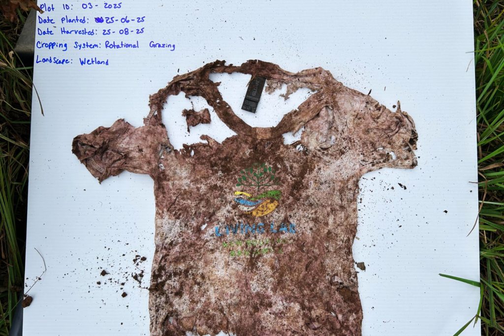 Soil Your T-Shirt - 2025